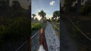 horseback riding in Miami