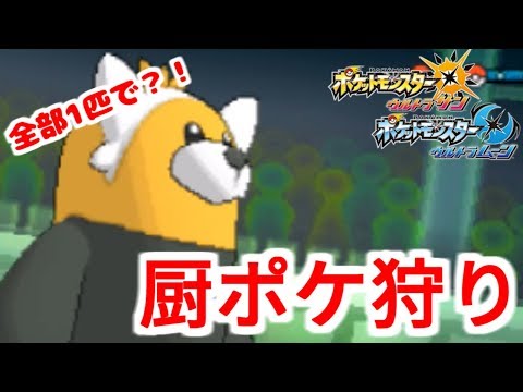 Usum キテルグマのおぼえる技 入手方法など攻略情報まとめ ポケモンウルトラサンムーン 攻略大百科