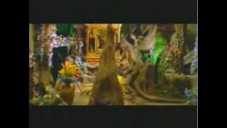 King-ka Kai a Sit - Frilled Lizard v Magical Flying Thai Thing