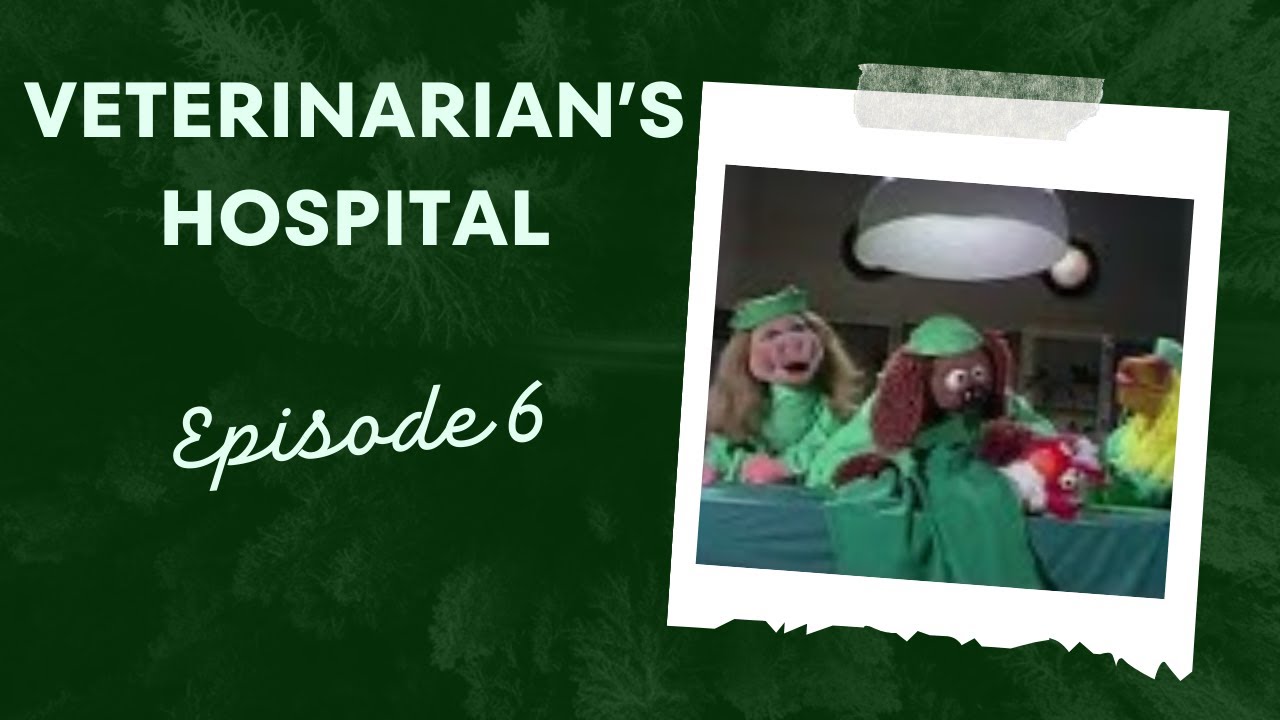 50 Minutes of Laughter: The Best Vet Hospital Sketches from The Muppet Show!