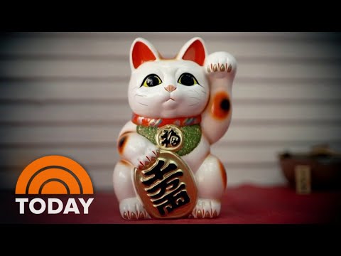 Video: Hvad er neko? Maneki-neko - en nyttig souvenir