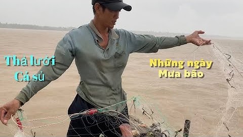 Có những ngày mưa bão anh em đi thả lưới cá sủ tuy cực nhưng mà vui khi có thu hoạch | Cldv #519