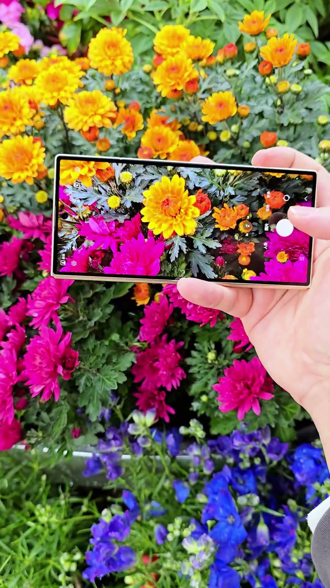 Digital Technology Samsung Folding Screen Mobile Photography W25