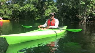 In the swamp with an alligator guide