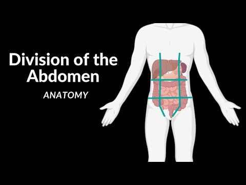 How to Divide the Abdomen (9 Regions) | Anatomy