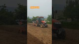 콩심어야죠