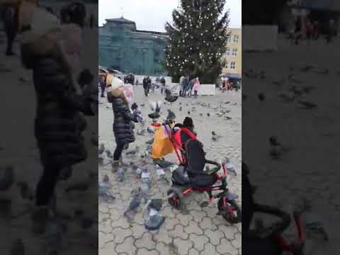 В Ужгороді проходить акція " Пробіжи - допоможи" ❤ відео газети ЯСНО