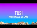 Marshmello, LiL CaKe - Tusi (Letra/Lyrics)