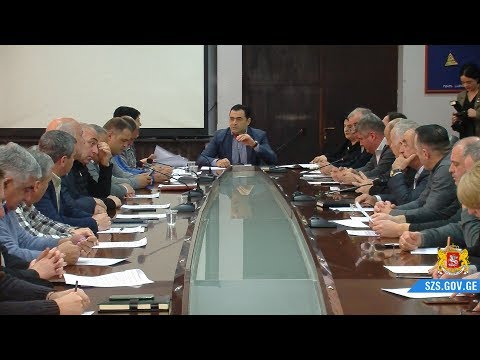 სახელმწიფო რწმუნებულმა საკოორდინაციო ჯგუფთან შეხვედრა გამართა