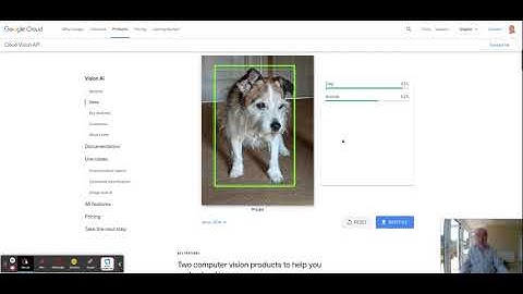 Google Vision AI  -  explanation