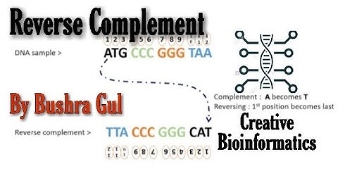 Reverse complement tool | Bioinformatics | Complementry base pairing in DNA
