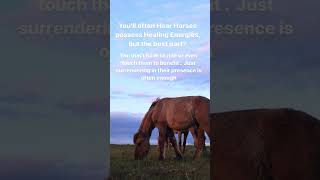 From Native American traditions to scientific research, the power of horses to heal is both ancient