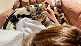 いつも早起きなのに寒くて布団から出られず朝寝坊してしまった子猫w
