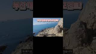 부산 태종대 낚시포인트를 가보자! #shorts #넙덕바위 #자갈마당 #유람선석작장 #낚시포인트