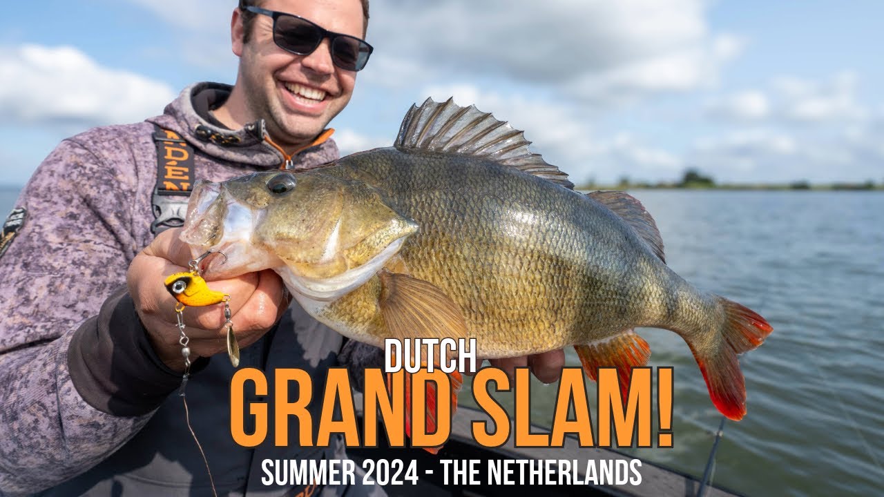 Fishing for Big Pike, Perch and Zander - Dutch Summer Grand Slam!