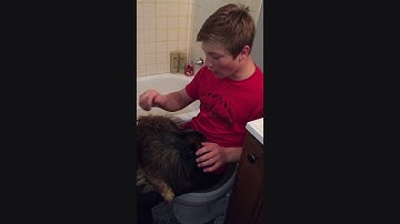 The Chemistry of Hair Gel - Clay S.