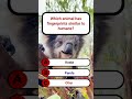 Which animal has fingerprints similar to humans | SmartGlobalGK | GK Quiz