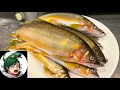 ホモサピさんと大量の巨大アユが群れる川を2つの巨大投網で塞いでみた結果!?【総集編】