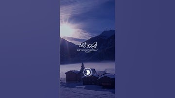 Surat Al-Rum verse 37#quran سورة الروم#المنشاوي