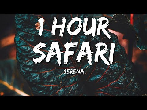 Serena   Safari Lyrics 1 Hour