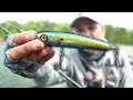 This topwater bait breaks every rule in fishing and still catches giant bass