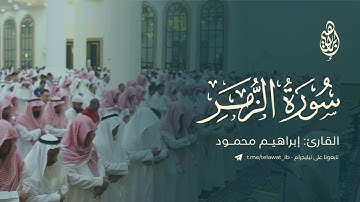 ما تيسّر من سورة الزمر - القارئ: إبراهيم محمود
