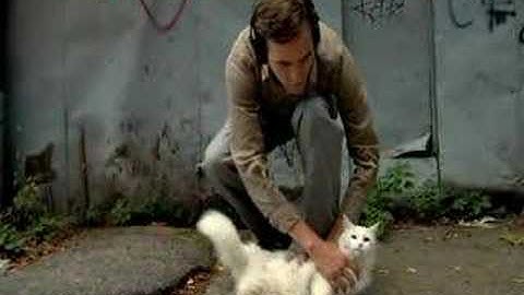 Beware of Dog trailer