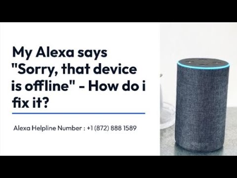 Fix Alexa Echo Dot Offline Issue, +1–855-393-7243, Alexa Support, by Alexa  Support