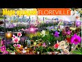 ФЛОРЭВИЛЬ / FLOREVILLE! Оазис ОРХИДЕЙ!!!🌸👍👍👍1.12.2019г.