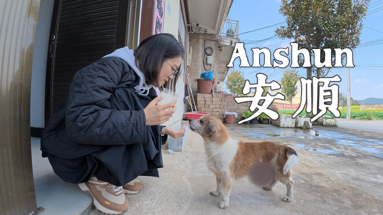 家乡Vlog｜农村年货怎么备🌶️给小狗洗澡🐶过年打糍粑🌾和小朋友坐一桌🧒家人团聚🍚安顺逛吃😋贵州梅园半日游👭一些思考🤔