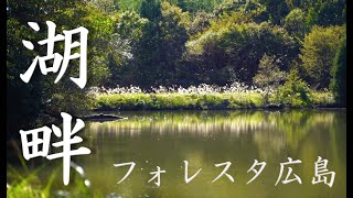広島県のキャンプ場 フォレスタ広島【エクスカーションティピ/325】はじめての湖畔キャンプ