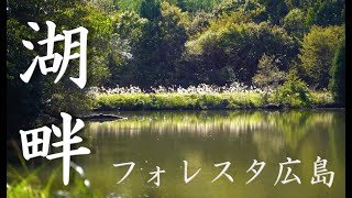 広島県・山口県の最強キャンプ場 フォレスタ広島【エクスカーションティピ/325】はじめての湖畔キャンプ