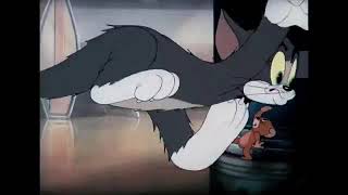 Autotune Tom Screaming