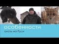 Натаска норных собак (на притравочной станции) - Беляков Хантинг