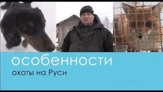 Натаска норных собак (на притравочной станции)  Беляков Хантинг