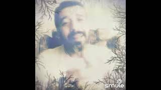 Ferdi Tayfur Sevebilseydin