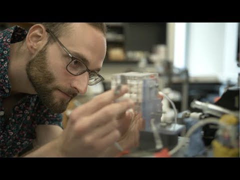 chemistry of life processes institute chemistry of life processes institute