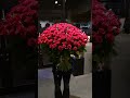 ■23 赤いバラ108本の花束　プロの仕事!花屋職歴26年の技術