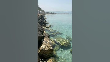part5 #سورة الرحمان #احمد العجمي