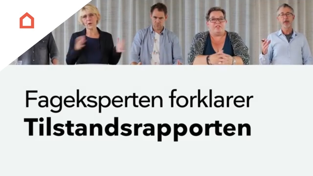 Fageksperten forklarer: Tilstandsrapporten