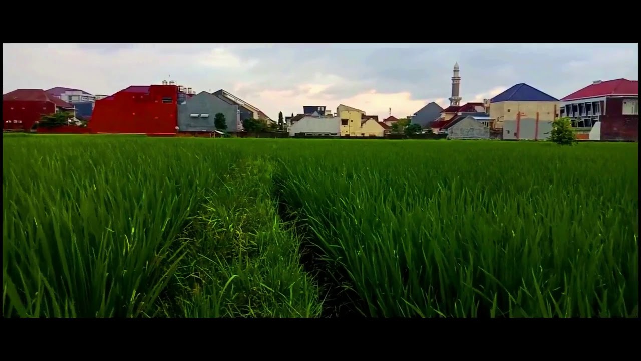 Alih Fungsi Lahan Pertanian di Indonesia - YouTube