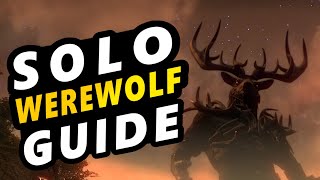 HUGE DPS - SO EZ YOUR GRANDMA COULD DO IT - ESO Solo Werewolf Build