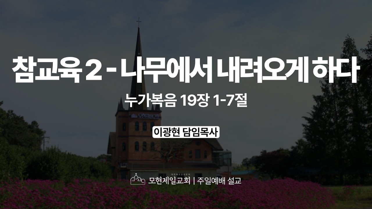 참교육 2_나무에서 내려오게 하다 유튜브 썸네일
