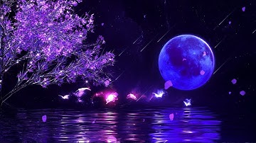 Fall Asleep in Under 3 MINUTES ★︎ Cures for Insomnia Disorders, Anxiety Relief ★︎ MELATONIN RELEASE