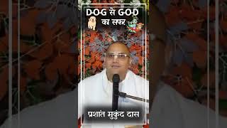 God vs Dog #prashantmukundprabhu #iskcon #prabhupada #viral #shortsvideo