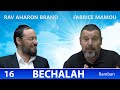 Sefer chemot  parachat bechalah 16 dapres le ramban  rav brand et fabrice