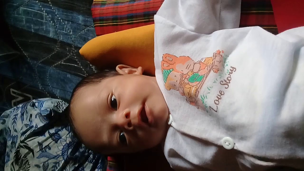  bayi  lucu  YouTube