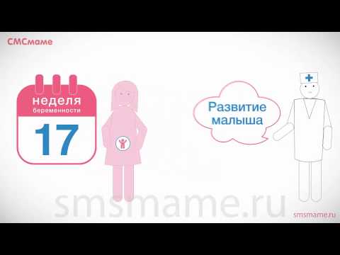 17 неделя беременности - сон и гимнастика для беременных.