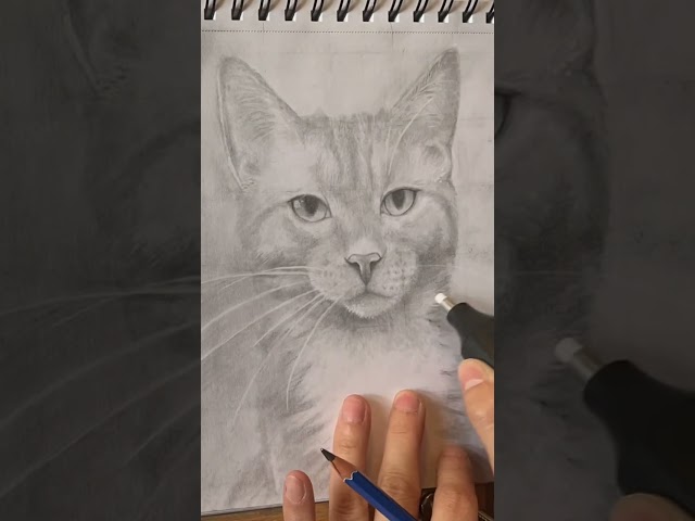 Quick sketch of my orange tabby cat Benji boy! class=