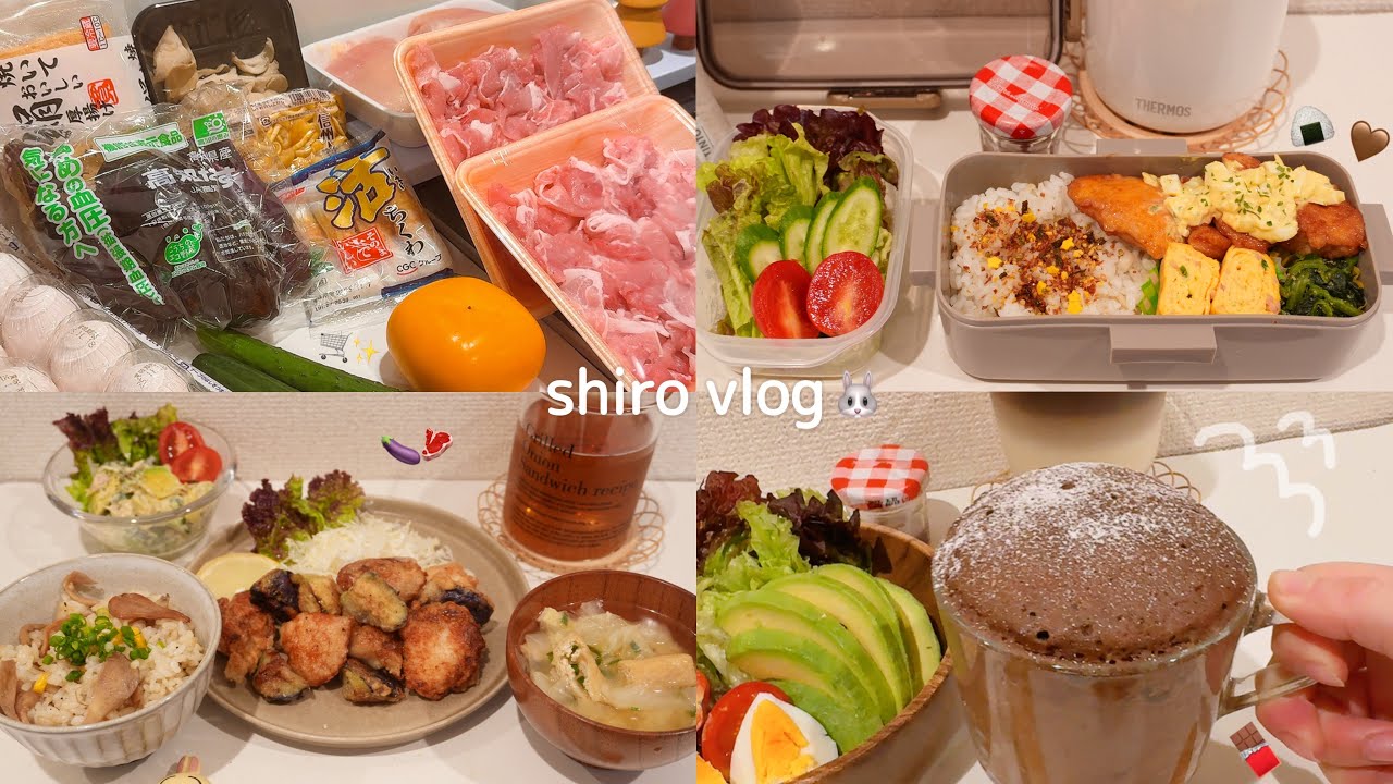 【 食費月一万円 】一人暮らし社会人の給料日ルーティン👩‍💼 / 食材買い出し🛒 / 鶏むね肉で節約ごはん🍗💞